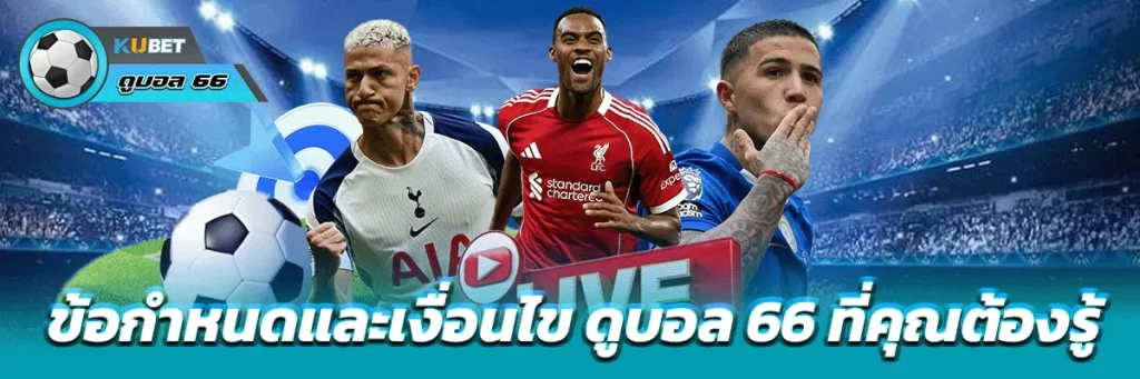 ข้อกำหนดและเงื่อนไข ดูบอล 66